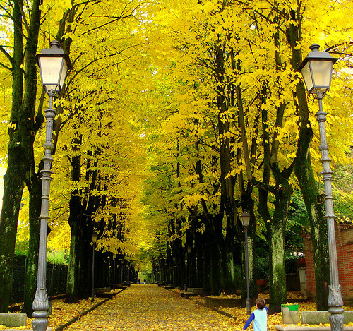 Autumn Street, Italy