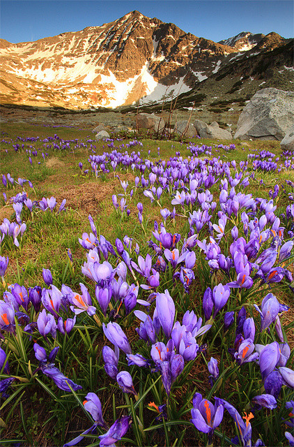 Spring time in Rila Mountains, Bulgaria
