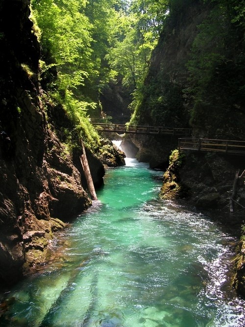 River Path, Vintgar Gorge, Slovenia