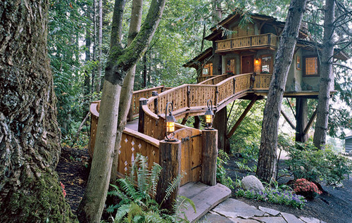 Inhabited Treehouse, Olympic Peninsula, Washington