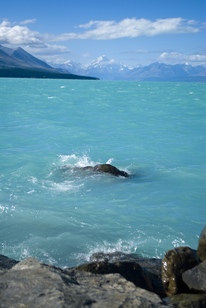 Turquoise Sea, South Island, New Zealand