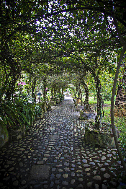 Walkway at Hosteleria and Hacienda Pontavi, Salinas, Ecuador