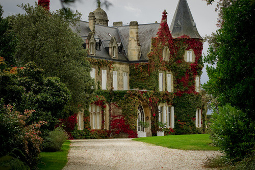 Autumn Ivy, Lascombe Castle, France