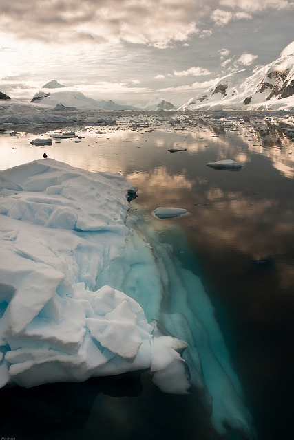 Icebergs on Paradise Bay, Antarctic Peninsula