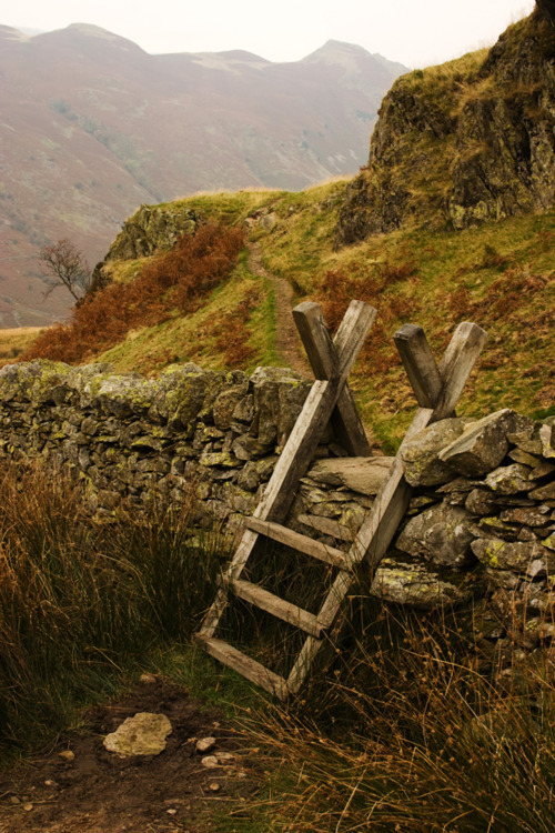 Stone Wall Ladder, Cumbria, England