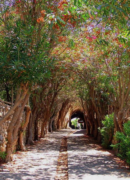 The beautiful streets of Byblos, the oldest continuously inhabited city in the world, Lebanon