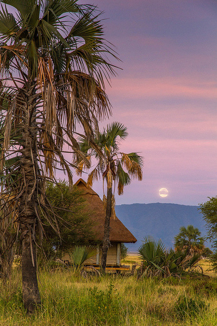Setting moon in Lake Manyara National Park, Tanzania
