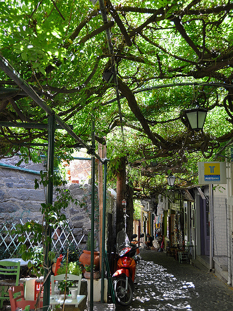 Wisteria covered streets of Molyvos, Greece