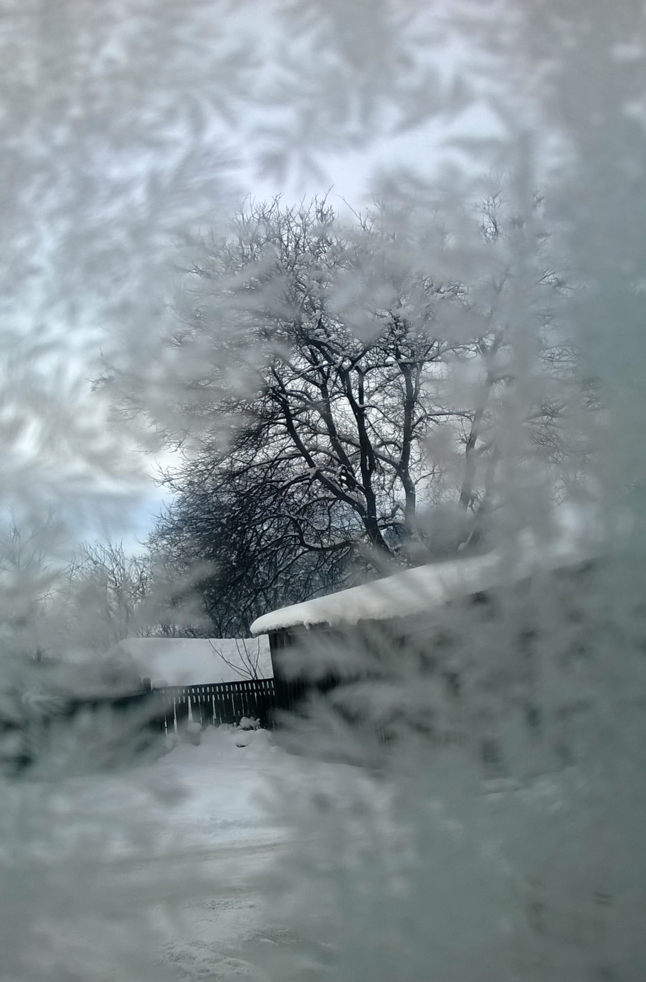 Through the frozen window.